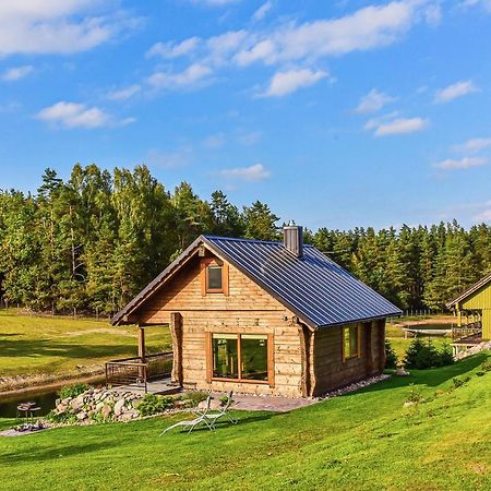 Vip Forest Dreams Villa Anykščiai エクステリア 写真