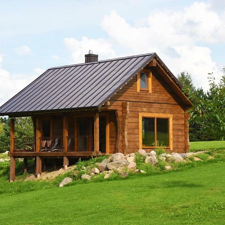 Vip Forest Dreams Villa Anykščiai エクステリア 写真
