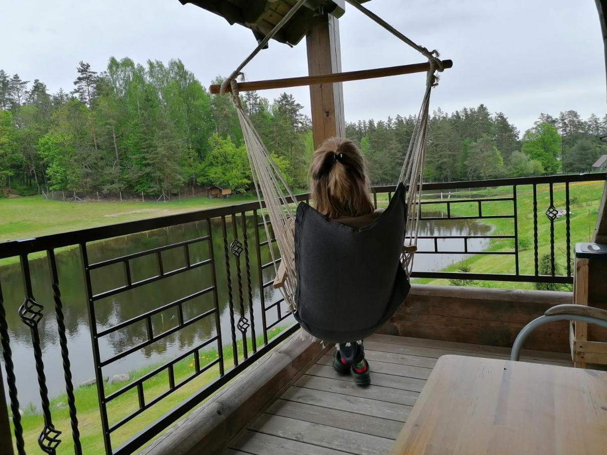 Vip Forest Dreams Villa Anykščiai エクステリア 写真