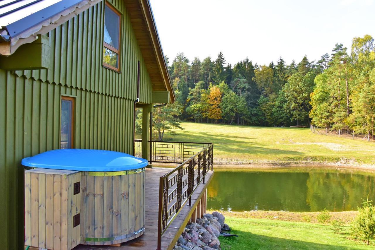 Vip Forest Dreams Villa Anykščiai エクステリア 写真