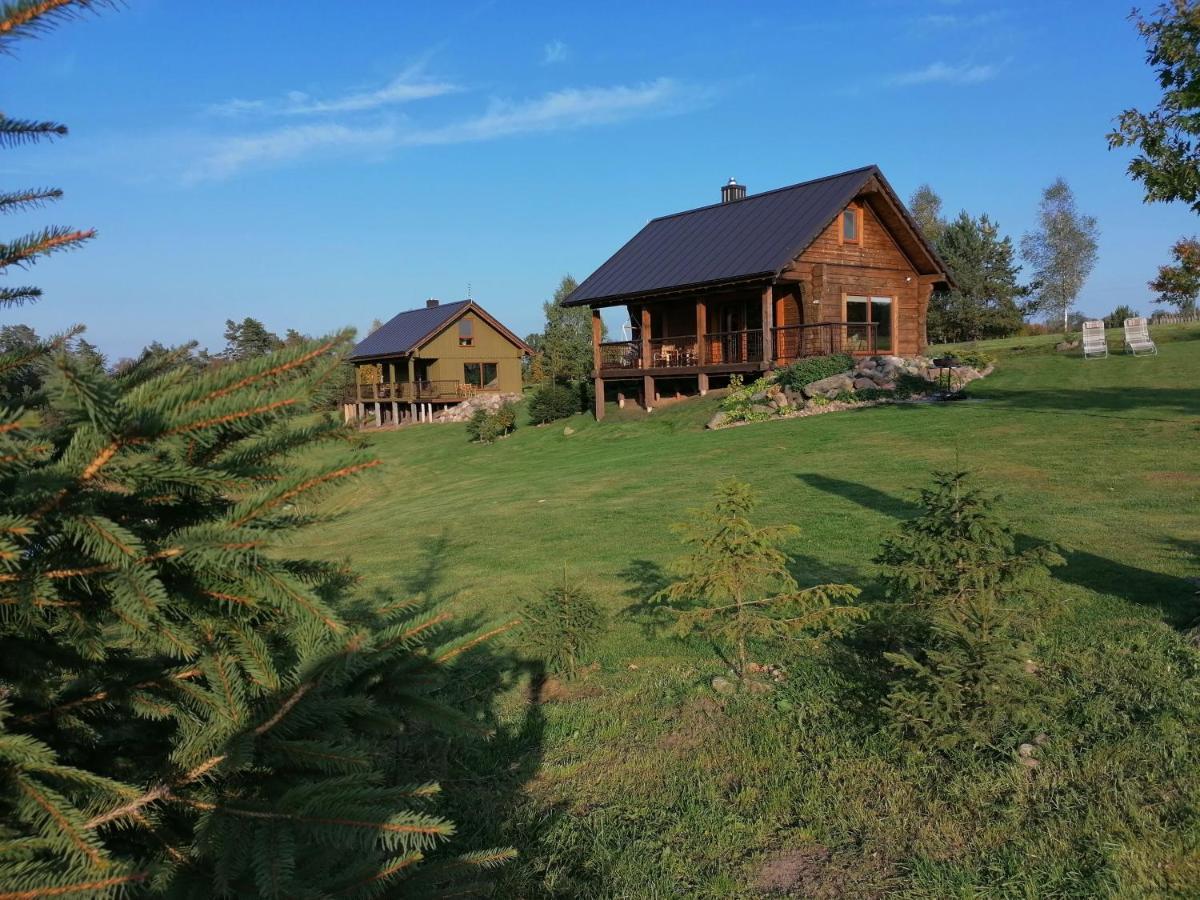Vip Forest Dreams Villa Anykščiai エクステリア 写真