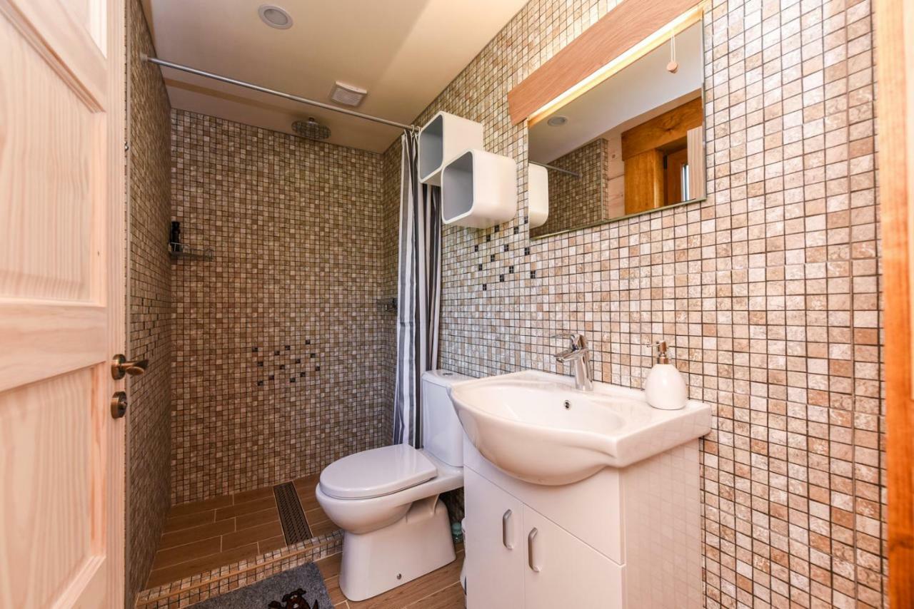 Vip Forest Dreams Villa Anykščiai エクステリア 写真