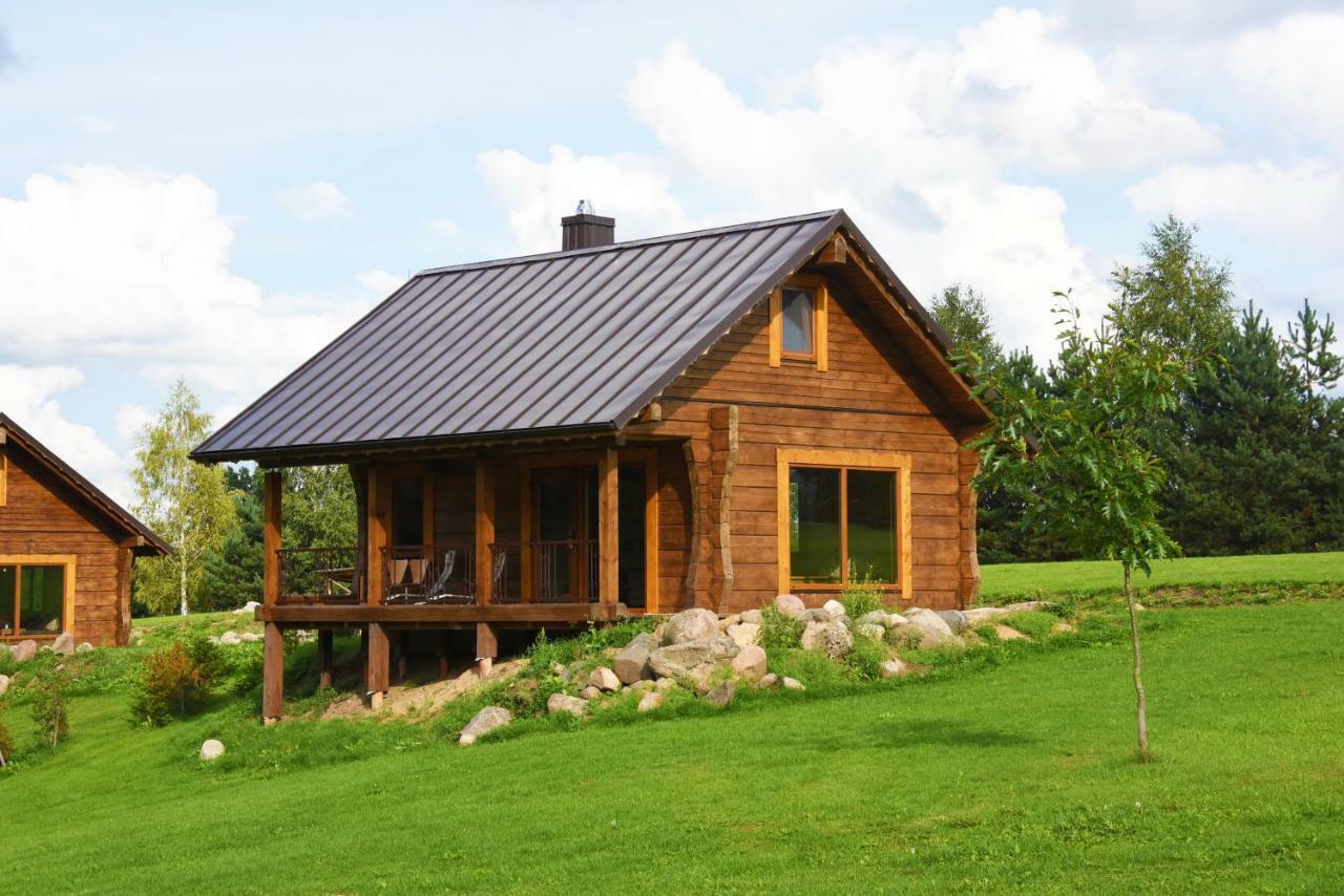 Vip Forest Dreams Villa Anykščiai エクステリア 写真