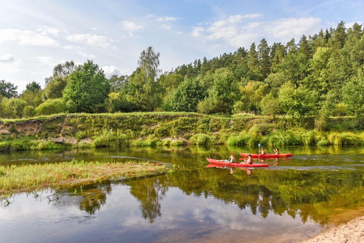 Vip Forest Dreams Villa Anykščiai エクステリア 写真