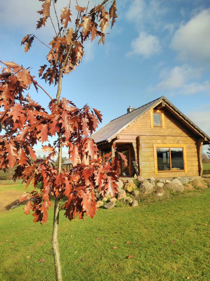 Vip Forest Dreams Villa Anykščiai エクステリア 写真