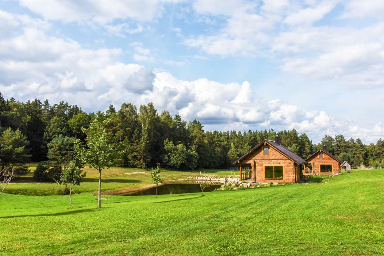 Vip Forest Dreams Villa Anykščiai エクステリア 写真