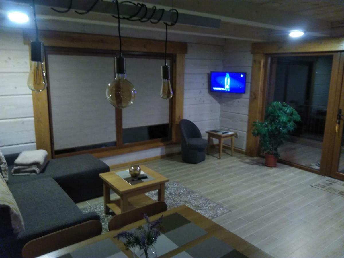 Vip Forest Dreams Villa Anykščiai エクステリア 写真