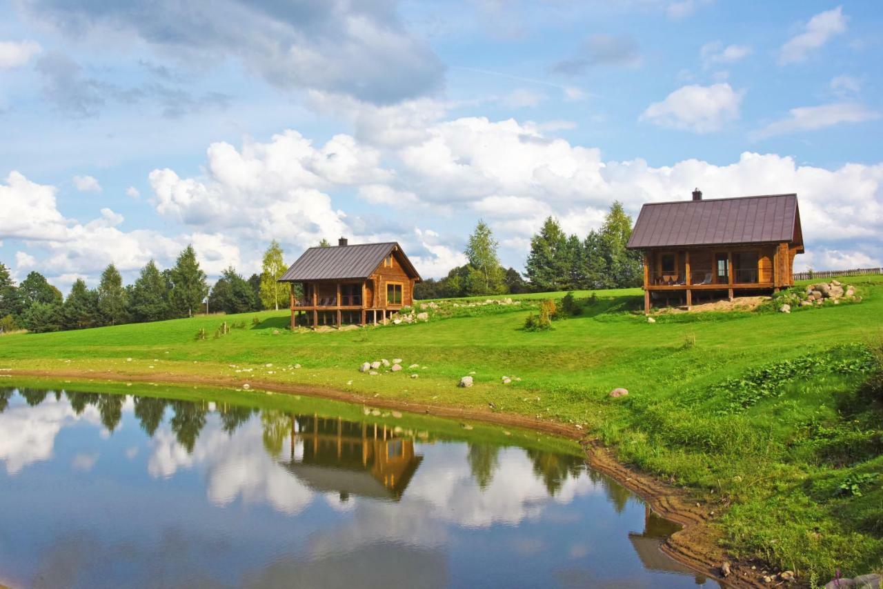 Vip Forest Dreams Villa Anykščiai エクステリア 写真