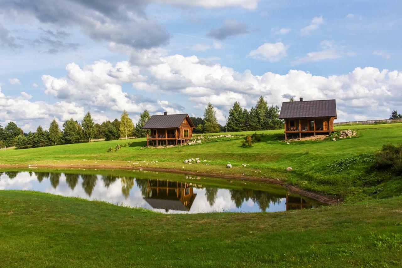 Vip Forest Dreams Villa Anykščiai エクステリア 写真
