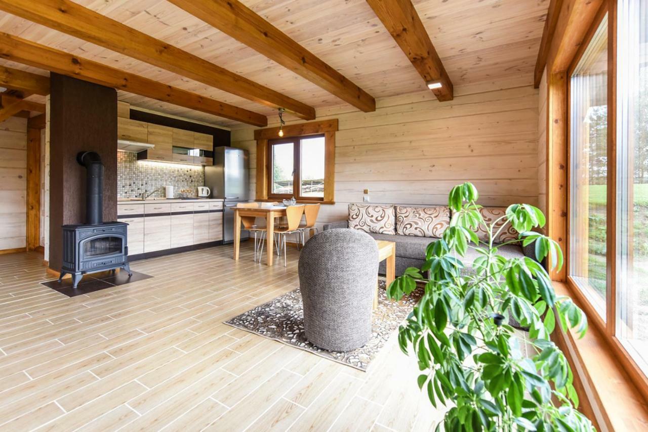 Vip Forest Dreams Villa Anykščiai エクステリア 写真