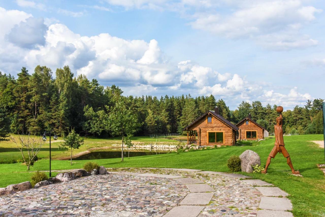 Vip Forest Dreams Villa Anykščiai エクステリア 写真