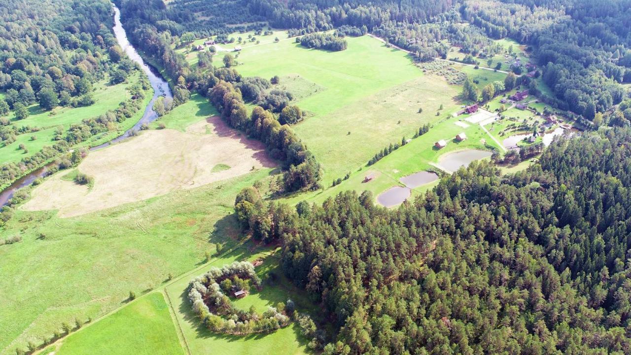 Vip Forest Dreams Villa Anykščiai エクステリア 写真