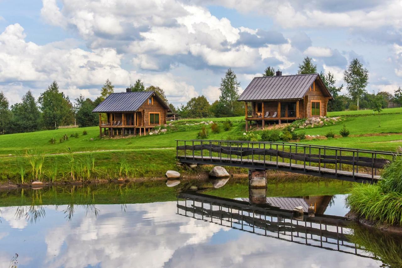 Vip Forest Dreams Villa Anykščiai エクステリア 写真