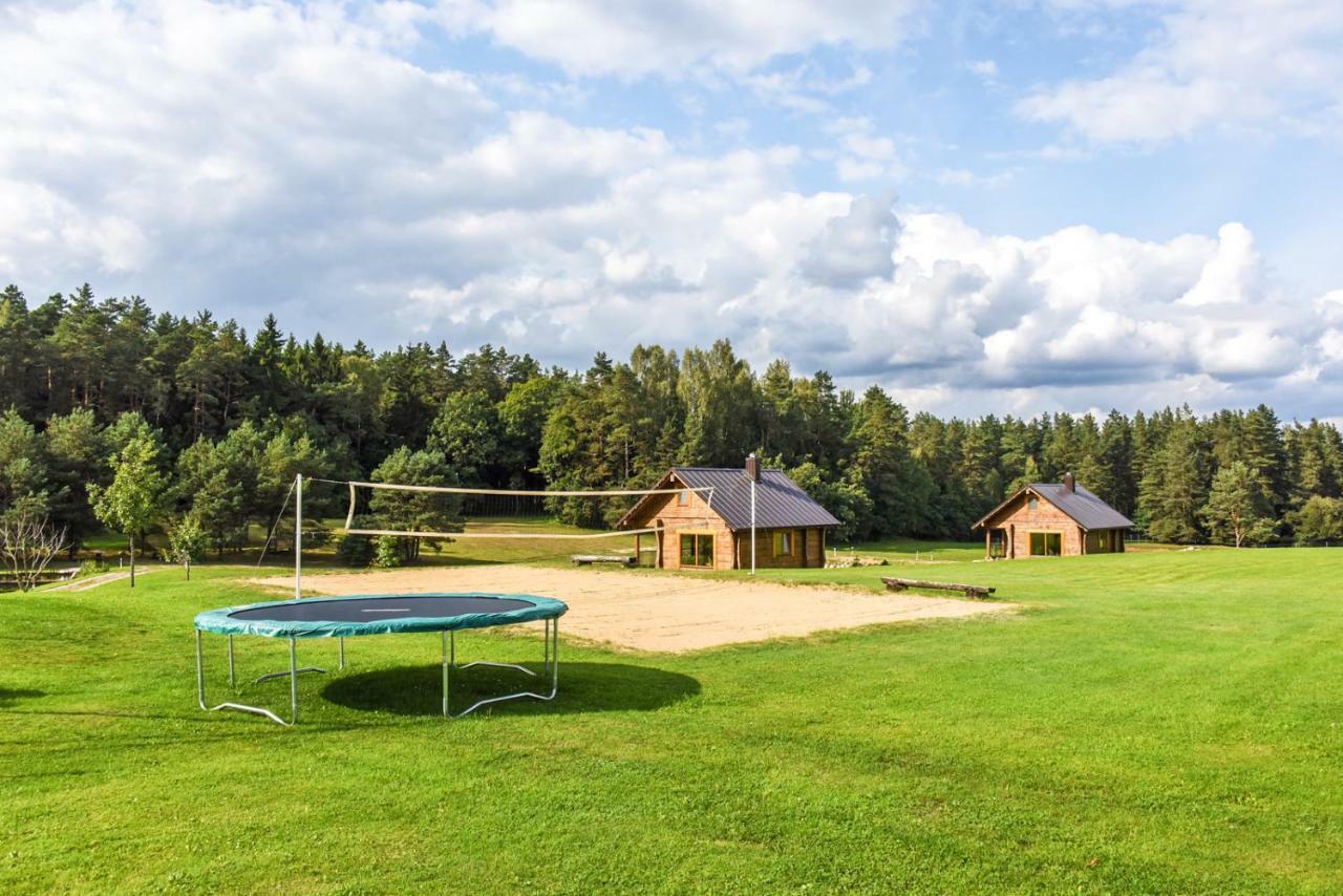 Vip Forest Dreams Villa Anykščiai エクステリア 写真