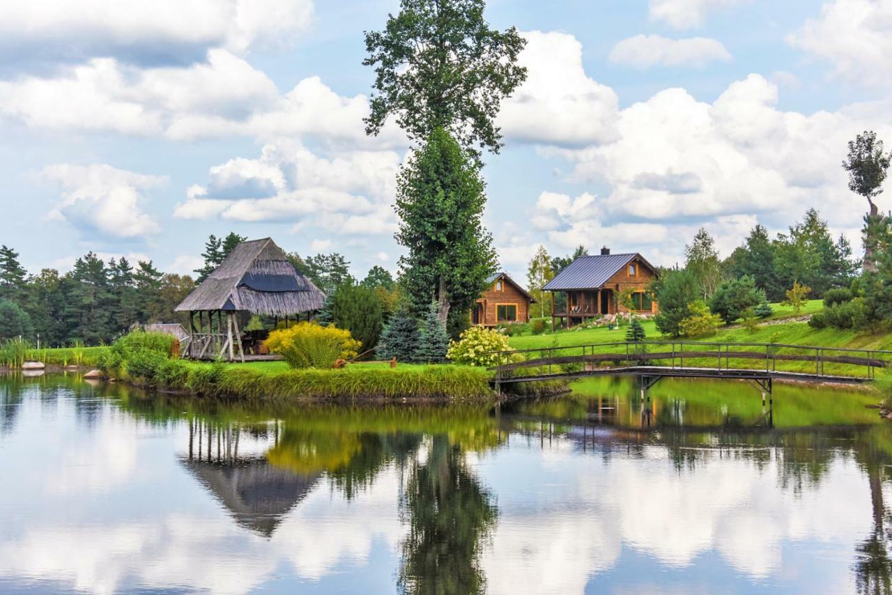 Vip Forest Dreams Villa Anykščiai エクステリア 写真